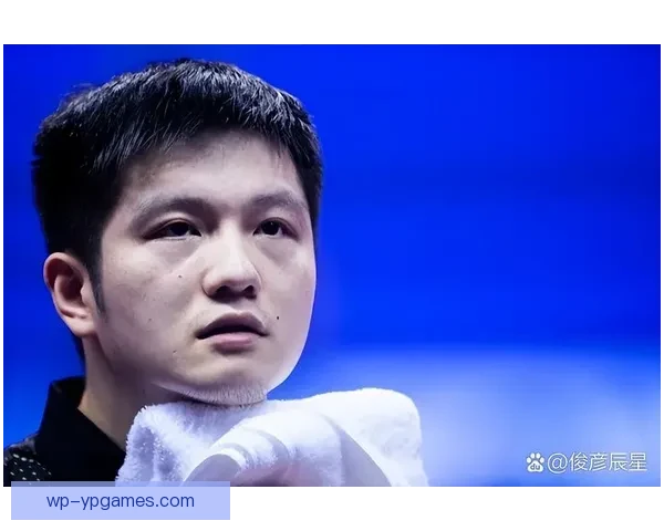 年薪120万欧樊振东为德甲俱乐部创造的商业价值与诱人续约条件解析